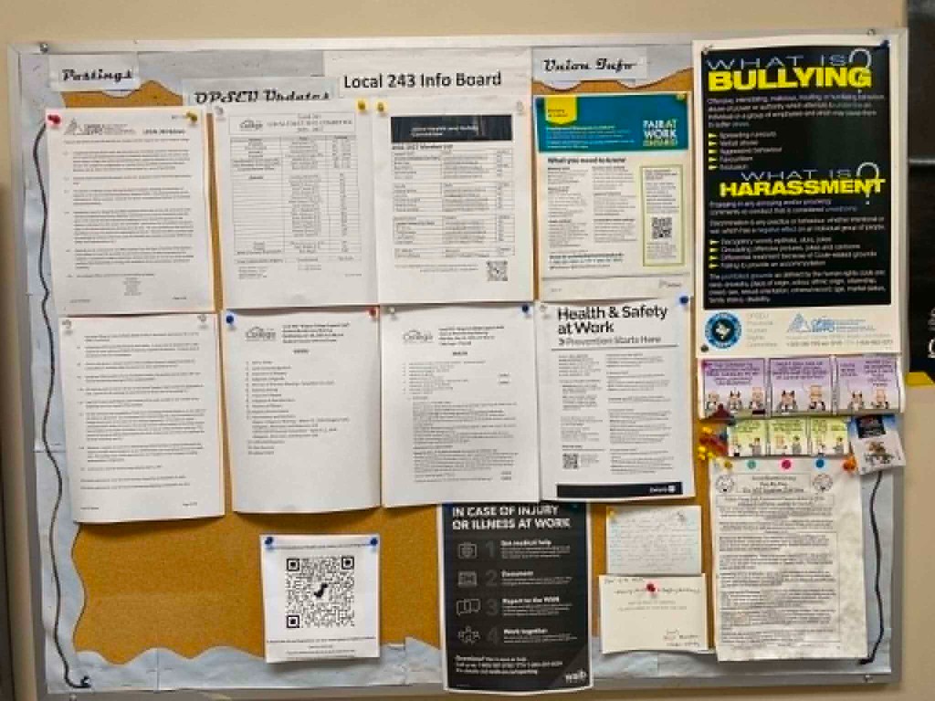Photograph of a sectioned union info board with labeled columns for postings, LEC, health and safety, and rights posters